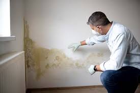 Best Comprehensive Air Testing for Mold Contaminants  in Bridgehampton, NY